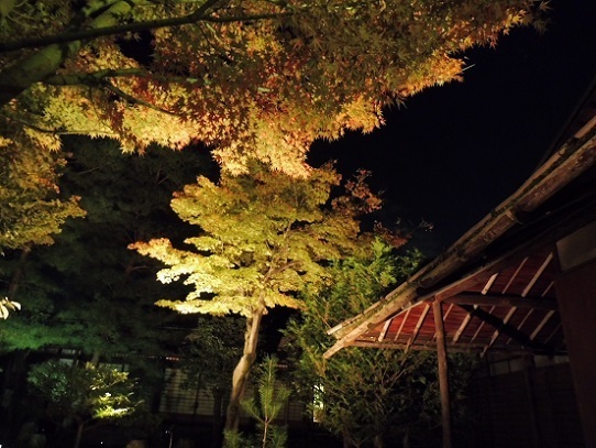 高台寺1310093.jpg