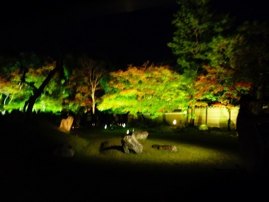 高台寺1310105.jpg