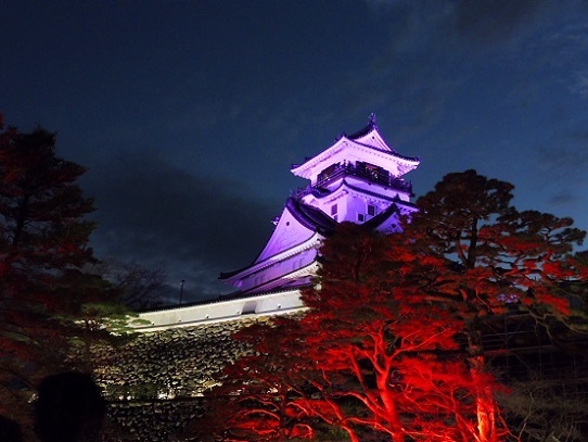 高知城光の祭り1390022.jpg
