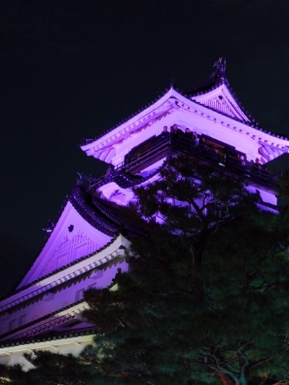 高知城光の祭り1390028.jpg