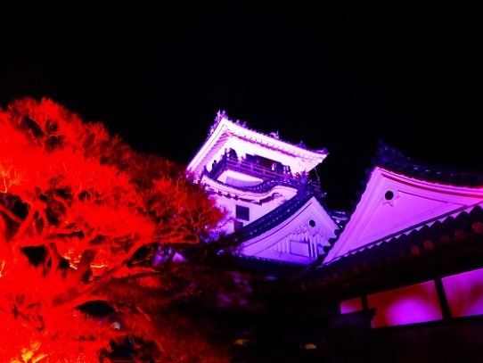 高知城光の祭り1390036.jpg