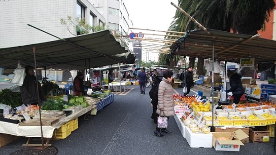 高知日曜市0869.jpg